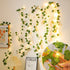 2 Pack 6.56 80LEDS KASZOO Ft Vine with Fairy Lights, Battery/USB Operated, Vine String Lights, Ivy Garlands with Fairy