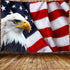 American Flag Tapestry, USA Bald Eagle Stars and Stripes Wall Hanging for Bedroom, 60X40 Inch