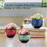3 (#006) Succulent Pots with Tier Bamboo Saucers Stand Holder Modern Decorative Ceramic Flower Pots with Drainage Mini