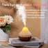 Mini Colorful Cool Humidifier, Volcano Shape Humidifier,USB Personal Desktop Humidifier Volcano Spray Mode, 7 Colors,Super Quiet for Office Room, Bedroom (White) by MCOURASOY
