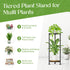 2 30 Inch iDavosic.ly Tier Corner Plant Stand Indoor, Tall Vertical Metal Flower Heavy Duty Pot Holder Shelf Outdoor