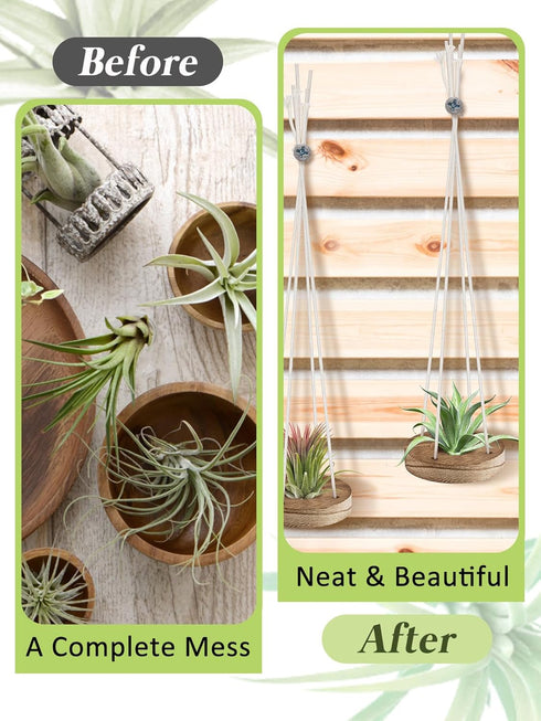 6 3" Pcs Hanging Wooden Air Plant Holder - Round Airplants Live Hanger with Ropes, Rustic Tillandsia Succulent Display