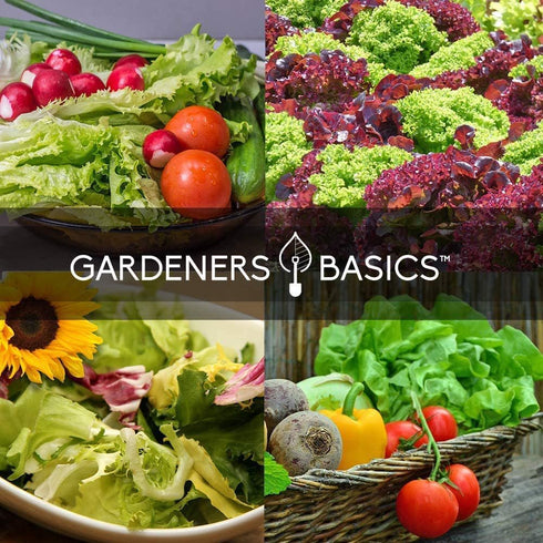 Beginner Indoor Garden Lettuce Kit - Includes Romaine, Buttercrunch Lettuces, Spinach, Arugula, and Kale Heirloom