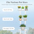 6" 2 Pack, 38 15 cm/15.2x6 Lifewit Extra Wide & Strong Window Plant Floating Shelves Heavy Duty Acrylic Suction Cup