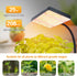 25 4/8/12/16/20H 24"-64" FECiDA Smart Control Watt LED Grow Light with Stand, Timer, Bright Enough Like A Small Sun
