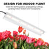 2 iPower Feet LED Grow Light Stand Natural White Full Spectrum for Indoor Plant Starting Seeds and Propagating