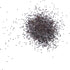 (1 Pack) Seed Needs Mint Seeds for Planting Spearmint Herbs - Non-GMO Heirloom & Untreated Perennial Herb Seed to Plant