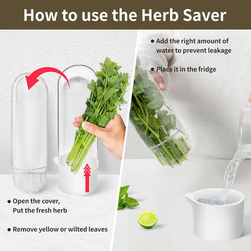 UEOZ 2-3 (4PCS) Herb Keeper for Refrigerator, Herb Saver for Refrigerator, Vegetable Preservation Bottle for Cilantro