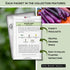 Packet Sow Right Seeds - Eggplant Seed Collection for Planting - Black Beauty, Casper, Rosa Bianca and Long Purple