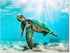 JAPO ART Green Sea Turtle Wall Decor - Tropical Canvas Wall Art Prints, Small Framed Pictures for Home