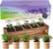5 Herb Garden Kit with Wooden Box - Including Basil, Thyme, Parsley,