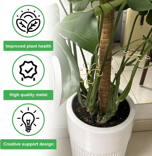 Mewcooss 6pcs Set Plant Stem Support, Iron Monstera Plants Support, Plant Stem Holder Support Unique Design Bamboo