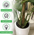 Mewcooss 6pcs Set Plant Stem Support, Iron Monstera Plants Support, Plant Stem Holder Support Unique Design Bamboo