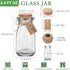 48 3.4 oz Sieral Pcs Mini Yogurt Jars Small Glass Bottles with Cork Lids Mini Milk Potion Bottles Glass Pudding Jars