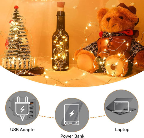 Ceepko 20 2 Pack) USB Bottle Lights Rechargeable Wine Bottle Fairy Lights Cork LED String Lights LEDs Copper Wire