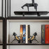 Nichake Metal Dragon Bookends Stoppers Holder Stand for Desk Shelf Cool Dragon Bookends Decorative, Fantasy Dragon