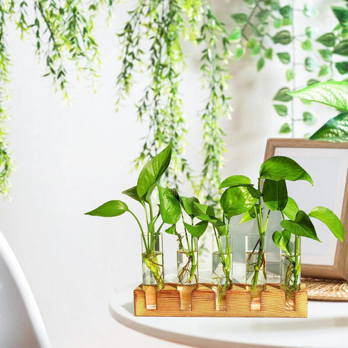 10 Renmxj Plant Propagation Station, Plant Terrarium with Wooden Stand for Hydroponics Plants Office Decor Unique