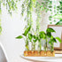 10 Renmxj Plant Propagation Station, Plant Terrarium with Wooden Stand for Hydroponics Plants Office Decor Unique