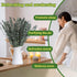 11 PCS Real Dried Eucalyptus for Shower Hanging Decor - 17'' Large Stems from Fresh Leaves for Bathroom