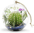 WGV Clear Glass Hanging Terrarium Globe, 7" Width, 8" Height, DIY Air Succulent Planter, 1 Piece