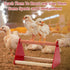 12 Patelai Pcs Chick Feeder and Waterer Kit Feeding Supplies with Mini Perch Chicken Starter Kit for Coop and Brooder