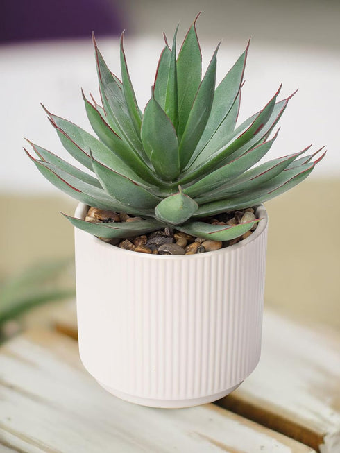 Briful Succulents Plants Artificial for Home Decor, Realistic Potted Fake Agave Plant, Cute Aloe Maguey Faux Plant