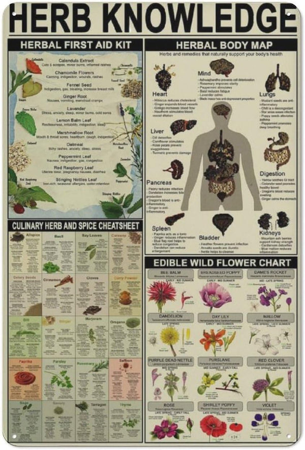Herb Knowledge Vintage Educational Metal Tin Signs Herbal First Aid Kit Infographic Poster, 12x16 inch Wall Decor