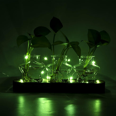 ohohFLOWER Plant Propagation Stations, Plant Lover Gift, Star Shaped Glass Vase with Wooden Stand for Propagating