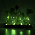 ohohFLOWER Plant Propagation Stations, Plant Lover Gift, Star Shaped Glass Vase with Wooden Stand for Propagating