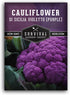 Purple Cauliflower Seeds for Planting Violetto di Sicilia Heirloom Italian Cauliflower Variety