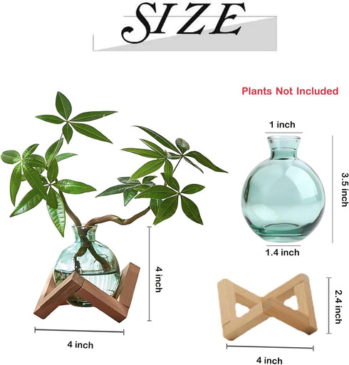 HymoConn Bulb Plant Propagation Station Propagation Vases for Plants Glass Terrariums Vases with Wooden Stand
