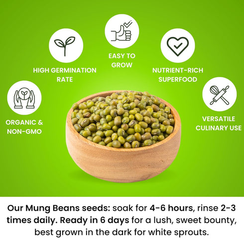 (8 Oz.) Mung Bean Sprouting Seeds - NON GMO- Resealable Bag for Longer Freshness Rich in Vitamins, Minerals, Fiber