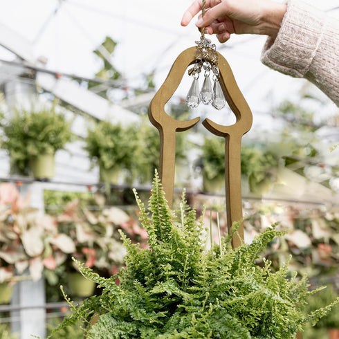 Generic Funny Flower Pots Plant Hanger, Mr. Morningwood, Versatile Plant Hanger & Pot, Wood Penis Planter, Unique Plant
