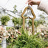 Generic Funny Flower Pots Plant Hanger, Mr. Morningwood, Versatile Plant Hanger & Pot, Wood Penis Planter, Unique Plant