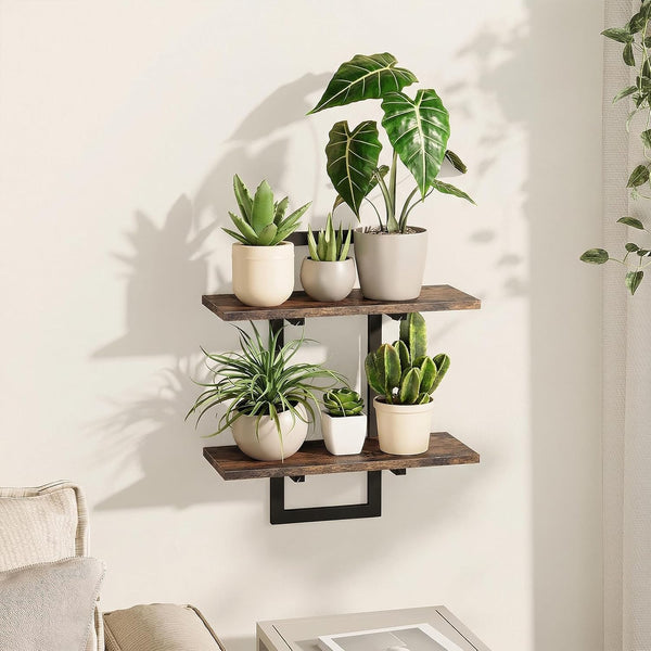 Bamworld Wall Planters for Indoor Plants Window Plant Shelves Vertical Plant Holder