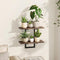 Bamworld Wall Planters for Indoor Plants Window Plant Shelves Vertical Plant Holder