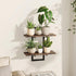 Bamworld Wall Planters for Indoor Plants Window Plant Shelves Vertical Plant Holder