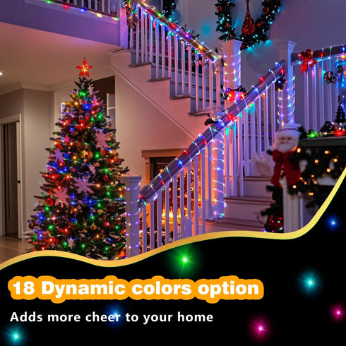 66ft 200 16 LED Rope Lights Indoor with USB Powered, LED String Lights Outdoor Waterproof, Tube Lights with Color