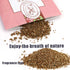 15 Pack Closet Air Freshener, Flower Scented Sachets Bags for Drawer and Closet Fresh Scents