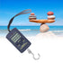 Portable Electronic Scale Mini 40kg-10g with Hanging Hook WH-A01L