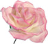 PME JEM Easy Rose Fondant Cutters - Set of 3, Standard, White