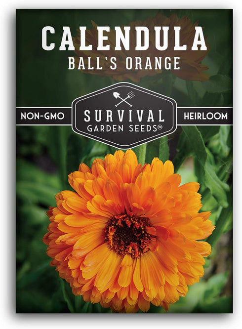 Balls Orange Calendula Seeds for Planting Medicinal Herb & Edible Flower with