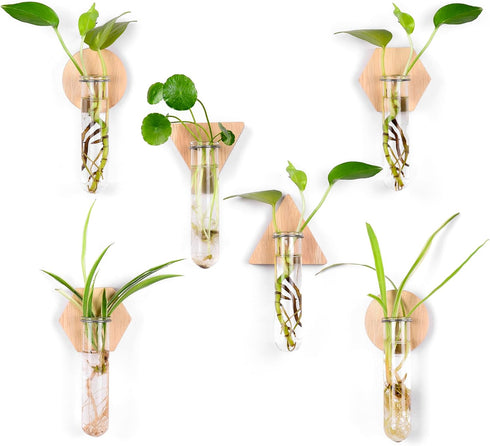 6-Pack Geometric Glass Plant Propagation Station with Wooden Stand