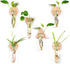6-Pack Geometric Glass Plant Propagation Station with Wooden Stand