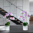 XONOR 2 Pieces Artificial Orchid Flowers, Potted Fake Orchids with Plastic Vase for Home Decor, Office, Wedding