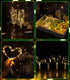 4 Pack 20 6.6 Wine Bottle Lights with Cork, USB Rechargeable Cork Lights for Wine Bottles,Christmas, Valentine's