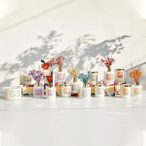 Set 6.7oz Cocorrna Premium Reed Diffuser with Preserved Baby's Breath & Cotton Stick Coconut Lime | Scent Fragrance Oil