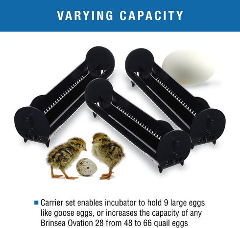 28 Accommodates Set 3 Brinsea Large Egg Carriers for Ovation Incubator, Optional Accessory Goose-Size Eggs