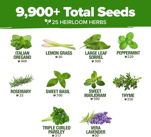 25 8,700+ Pack Set HOME GROWN Herb Seeds for Planting Non-GMO Heirloom Seeds | Extra Large Variety Herb Kit Indoor