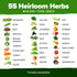 70 32,000+ Set HOME GROWN Variety Vegetable & Herb Seeds USA Non-GMO Heirloom Survival Seeds Garden Kit for Spring